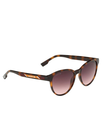 Lacoste Brown Injected Sunglasses